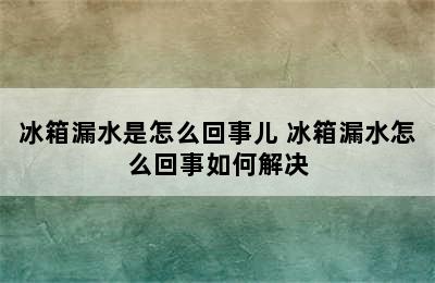 冰箱漏水是怎么回事儿 冰箱漏水怎么回事如何解决